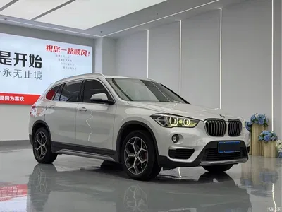 2019 BMW X1 sDrive18Li Premium Model, фото 3, лот 10765442