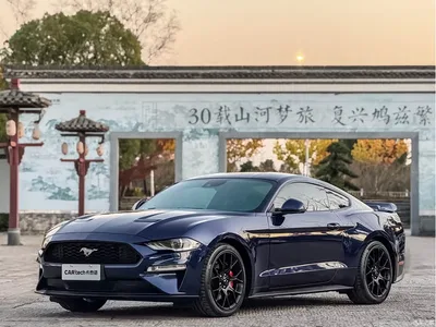 2020 Ford Mustang 2.3L EcoBoost, фото 1, лот 10297688