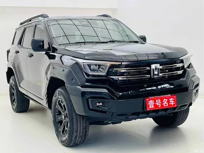 2024 Tank 400 New Energy Hi4-T Off-Road Edition, фото 3, лот 10344459