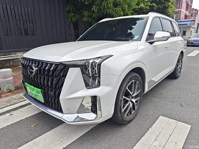 2022 GAC Trumpchi Trumpchi GS8 Dual Engine Series 2.0TM 2WD Premium Edition (7-Seater), фото 2, лот 10421644