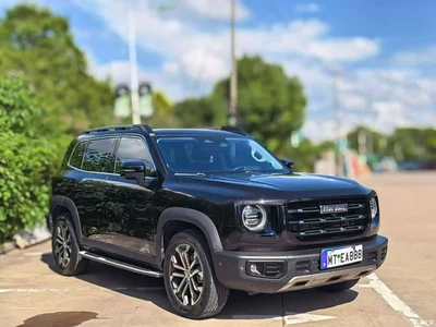 2021 Haval Big Dog 1.5T DCT 2WD Malinois Edition, фото 3, лот 10361692