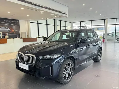 2023 BMW X5 xDrive 30Li Premium M Sport Black Night Package, фото 1, лот 11534411