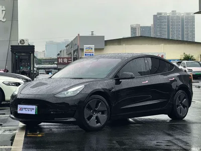2022 Tesla Model 3 Model Rear-Wheel Drive Version, фото 3, лот 10356946