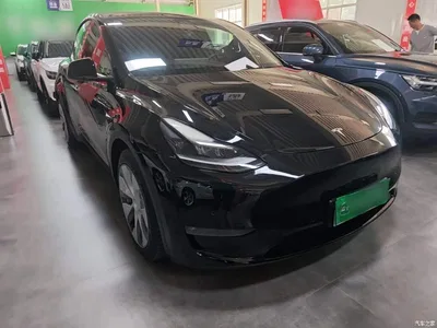 2021 Tesla Model Y Standard Range Rear-Wheel Drive, фото 4, лот 10598483
