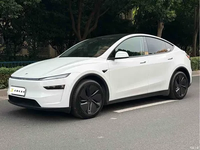 2025 Tesla Model Y Rear-Wheel Drive, фото 1, лот 10482249