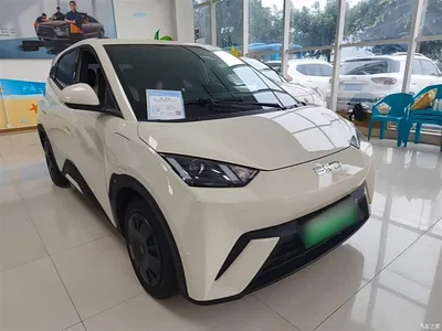 2024 BYD Seagull Glory Edition 305km Vitality Edition, фото 4, лот 10262945