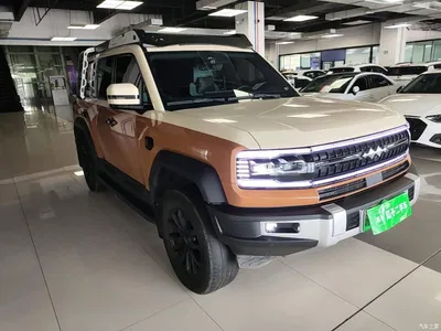 2023 Byd Leopard 5 Explorer Edition, фото 4, лот 10827855