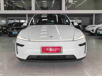 2025 Tesla Model Y Rear-Wheel Drive, фото 2, лот 10766082
