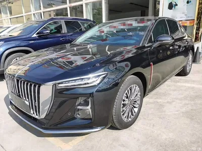 2025 Hongqi H5 1.5T DCT Flag Rhythm 500,000 Units Memorial Edition, фото 2, лот 10434893