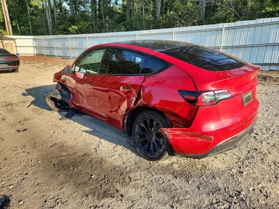 2023 TESLA MODEL Y, фото 2, лот 10856377