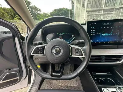 2019 BYD Tang New Energy EV600 2WD Smart Connect Joy Edition, фото 4, лот 10272750