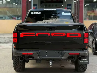 2019 Ford F-150 Raptor 3.5T Raptor Performance Enhanced Edition, фото 4, лот 10413771