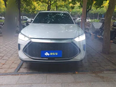 2021 BYD Song PLUS PHEV DM-i 110KM Flagship PLUS, фото 2, лот 10450887