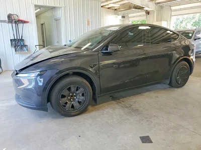 2026 TESLA MODEL Y, фото 1, лот 10971337