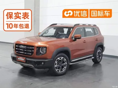 2021 Haval Big Dog 2.0T DCT 4WD Chinese Rural Dog Edition, фото 1, лот 11175534