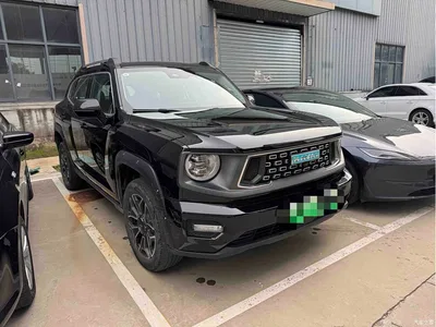 2024 Haval Second-Generation Big Dog New Energy Hi4 102km Trend Electric Plus, фото 3, лот 11157396