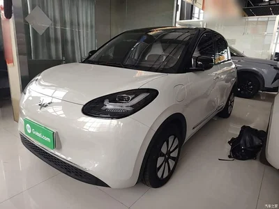 2024 Wuling Motors Wuling Bingo 333km Comfort Edition, фото 2, лот 11177659