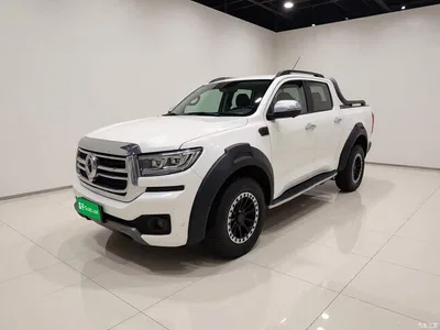2023 Great Wall Pao 2.0T Passenger Auto Diesel 4WD Premium GW4D20M, фото 1, лот 10405977