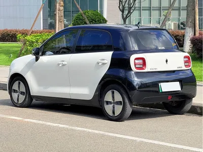 2021 Ora Black Cat 301km Basic Model, фото 4, лот 10615229