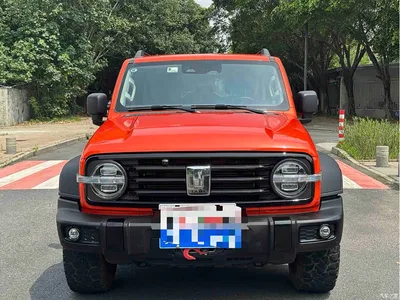 2021 Tank 300 Off-road Version 2.0T Conqueror, фото 2, лот 10344532