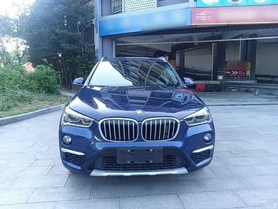 2019 BMW X1 xDrive20Li Premium Model, фото 3, лот 10467201