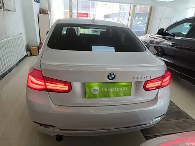 2016 BMW 3 Series 320Li Progressive, фото 4, лот 10457963