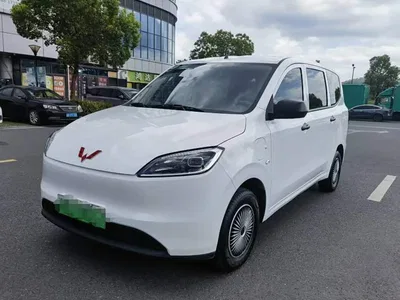 2024 Wuling Motors Wuling Hongguang New Energy Pure Electric 300KM Standard, фото 1, лот 11146770