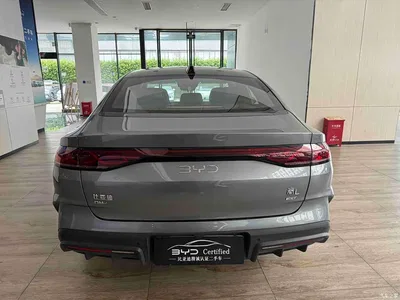 2025 BYD Qin L DM-i Smart Drive Edition 120KM Surpassing, фото 4, лот 10625902