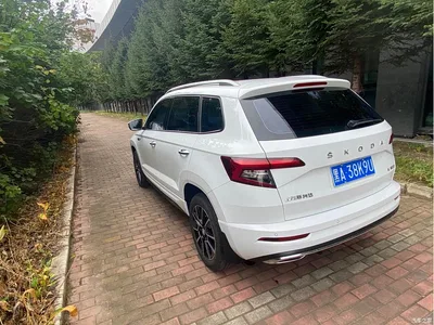 2023 Škoda Karoq TSI280 Premium Edition, фото 4, лот 11216491