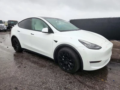2021 TESLA MODEL Y, фото 4, лот 11594289