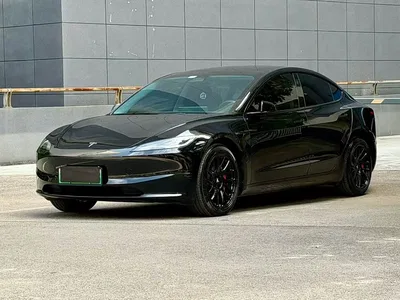 2023 Tesla Model 3 Rear-Wheel Drive, фото 1, лот 10356385