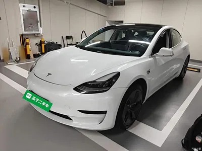 2020 Tesla Model 3 Standard Range Rear-Wheel Drive Upgrade, фото 2, лот 10390847
