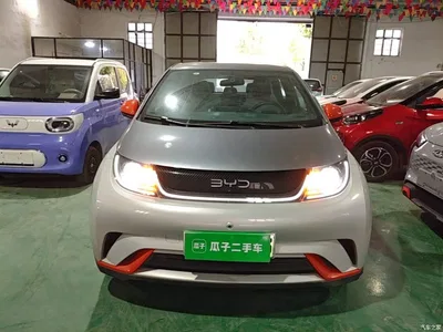 2021 BYD Dolphin 405km Freedom Edition, фото 3, лот 10837049