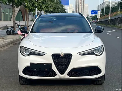 2020 Alfa Romeo Stelvio 2.0T 280HP Luxury Edition, фото 3, лот 10391250