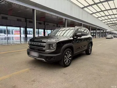 2024 Haval Big Dog Model 1.5T DCT Labrador Edition, фото 1, лот 10361467