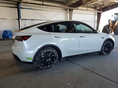 2022 TESLA MODEL Y, фото 3, лот 10854794