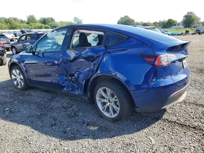 2023 TESLA MODEL Y, фото 2, лот 10856689