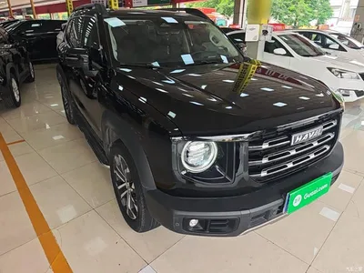 2022 Haval Big Dog 1.5T DCT FWD Border Collie Edition, фото 4, лот 10476301