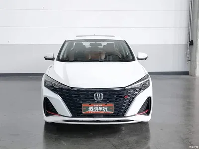 2023 Changan Eado Enjoy Edition PLUS Blue Whale NE 1.4T GDI DCT Premium Edition, фото 3, лот 10249031