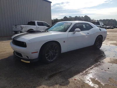 2023 DODGE CHALLENGER R/T SCAT PACK, фото 1, лот 10655550
