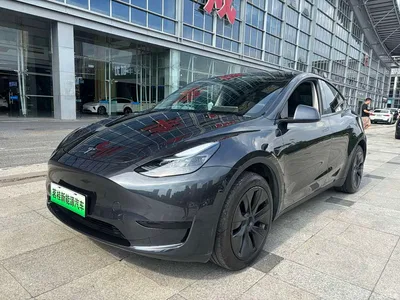 2024 Tesla Model Y Rear-Wheel Drive Version, фото 1, лот 10693704