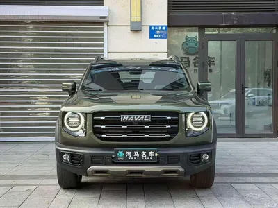 2022 Haval Big Dog 1.5T DCT FWD Border Collie Edition, фото 3, лот 11212392