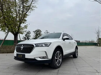2018 Borgward BX6 28T AWD GT Ultimate Cool Edition, фото 1, лот 11565804