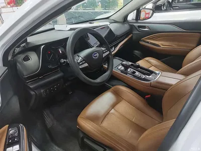 2019 Aion S Charm 530, фото 4, лот 10240706