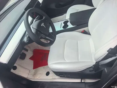2021 Tesla Model 3 Standard Range Rear-Wheel Drive Upgrade 3D6, фото 4, лот 10451275