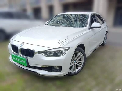 2016 BMW 3 Series 320Li Progressive, фото 2, лот 10457893