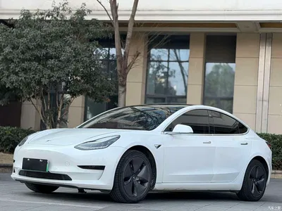 2020 Tesla Model 3 Standard Range Rear-Wheel Drive Upgrade, фото 1, лот 10812828