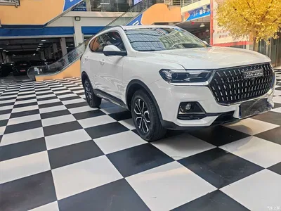 2023 Haval H6 National Trend Edition 1.5T Automatic Urban, фото 3, лот 10282989