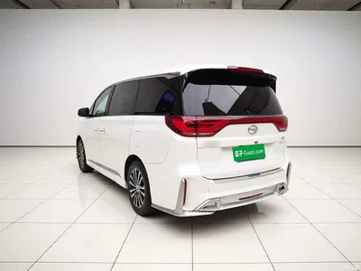 2021 GAC Trumpchi Trumpchi M8 Leading Show Series 390T Prestige Edition, фото 4, лот 11548756