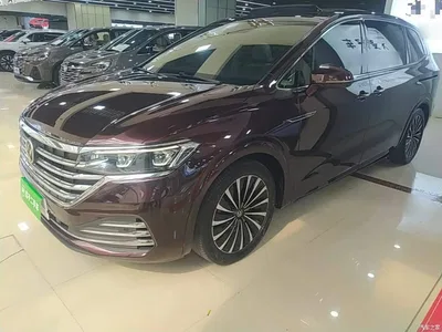 2020 Volkswagen Viloran 380TSI Flagship Edition, фото 1, лот 10475742